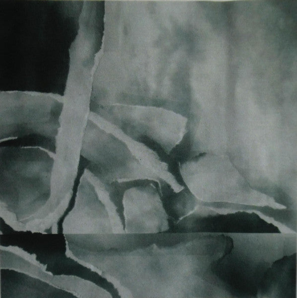 Mark Van Fleet : Neg Scan (Cass, Ltd, C40)