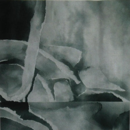 Mark Van Fleet : Neg Scan (Cass, Ltd, C40)