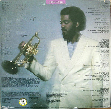Rahmlee* : Rise Of The Phenix (LP, Album)