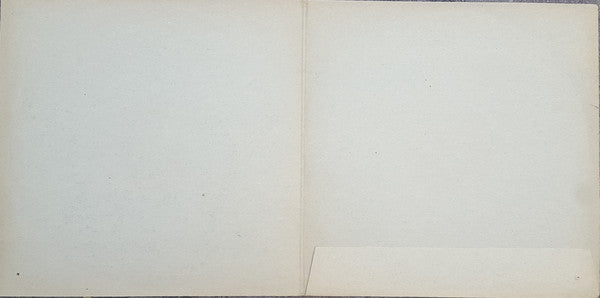 King Biscuit Boy : Gooduns (LP, Album, Bur)