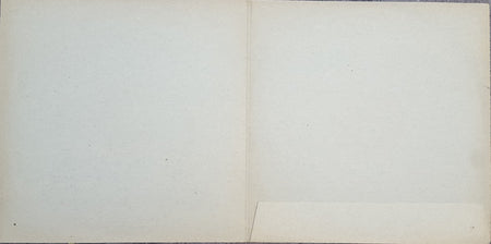 King Biscuit Boy : Gooduns (LP, Album, Bur)