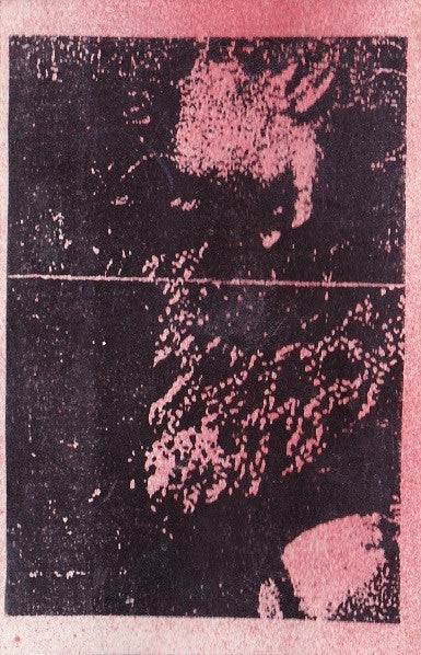 Orphanage Rats : Live Extermination Ypsilanti/Detroit, MI (Cass, S/Sided, Ltd, Num, C40)