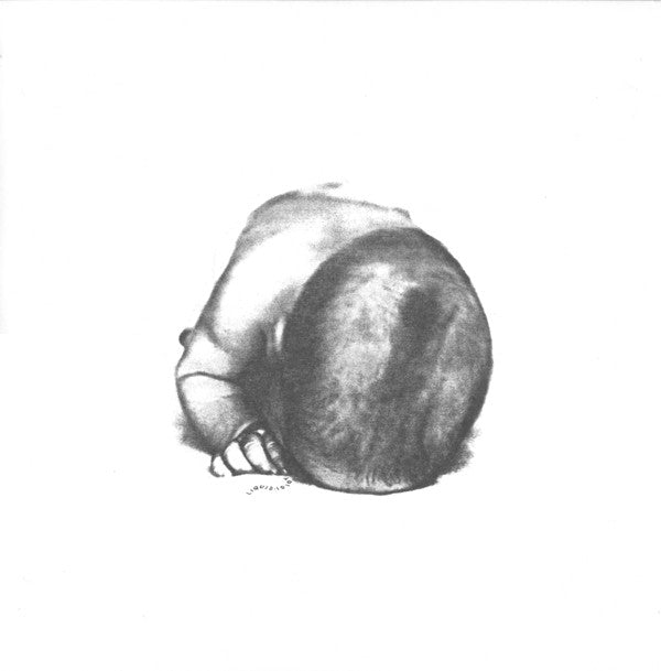 Liquid Idiot / The Idiot Orchestra : Liquid Idiot / Idiot Orchestra (LP, Comp)