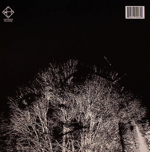 Paul Flaherty · Chris Corsano · C. Spencer Yeh : Slow Blind Avalanche (LP, Ltd)