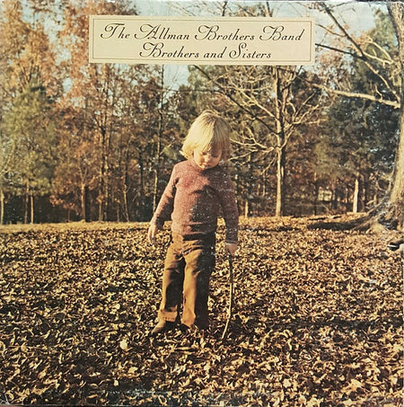 The Allman Brothers Band : Brothers And Sisters (LP, Album, M/Print, Ter)