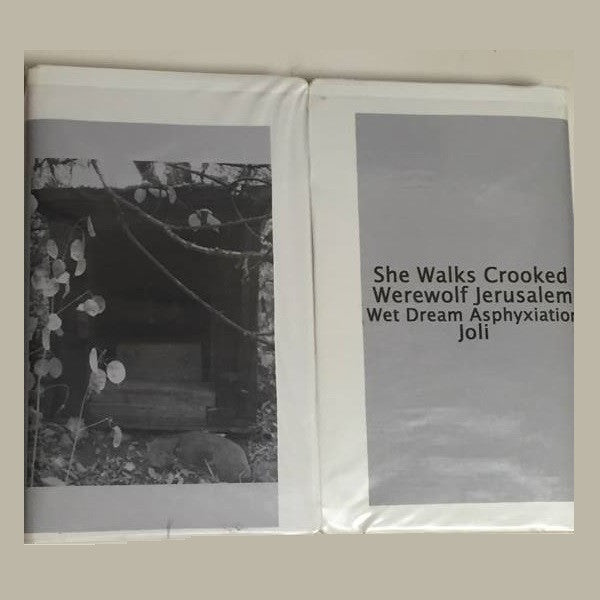 Werewolf Jerusalem, Wet Dream Asphyxiation, Joli (2), She Walks Crooked : Various Artists: 4 Way Box Set (2xCass, Comp + Box, Ltd)