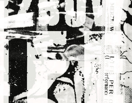 Merzbow : Life Performance (CD, Album, RE, RM)
