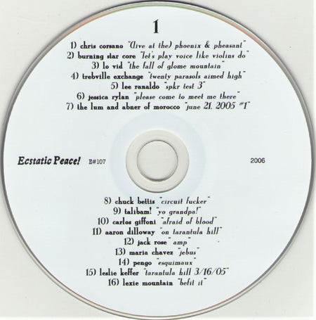 Various : Less Self Is More Self (A Benefit Compilation For Tarantula Hill) (2xCD, Comp)
