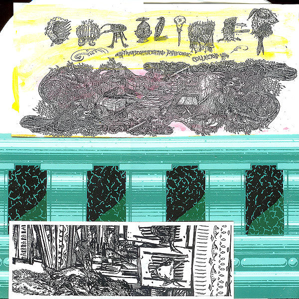 Caroliner : Transcontinental Pinecone Collector (LP, Etch)