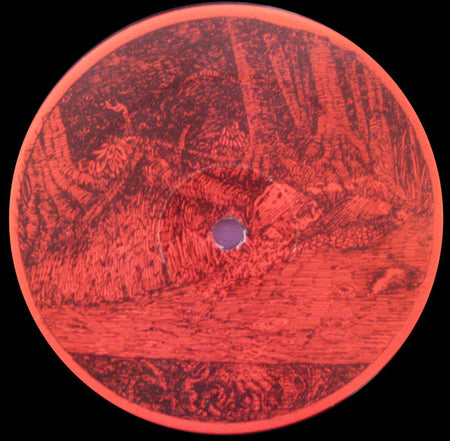 Caroliner : Transcontinental Pinecone Collector (LP, Etch)