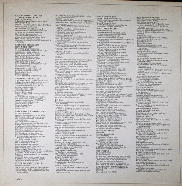 David Bromberg : David Bromberg (LP, Album, Ter)