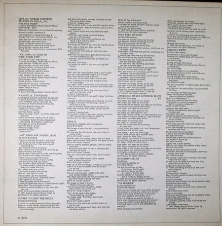 David Bromberg : David Bromberg (LP, Album, Ter)