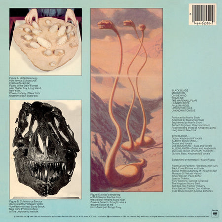 Blue Öyster Cult : Cultosaurus Erectus (LP, Album, Ter)