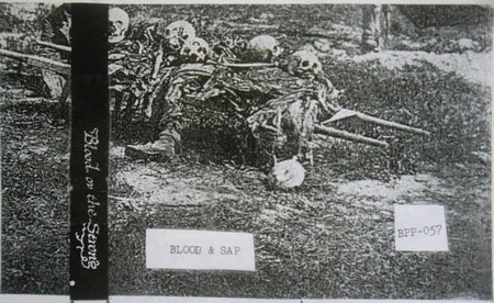 Blood Ov The Strong : Blood & Sap (Cass, Album)