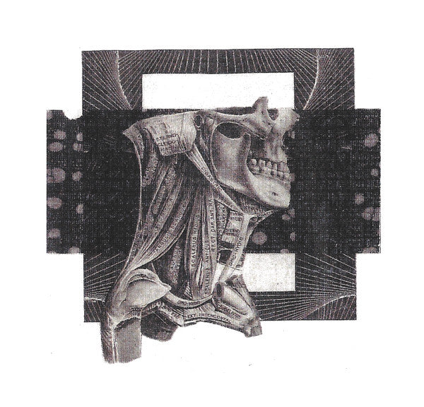 Ahlzadeveloper : Ahlzdeveloper (CD, Comp, Ltd)