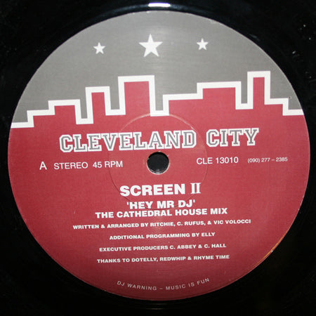 Screen II : Hey Mr DJ (12")