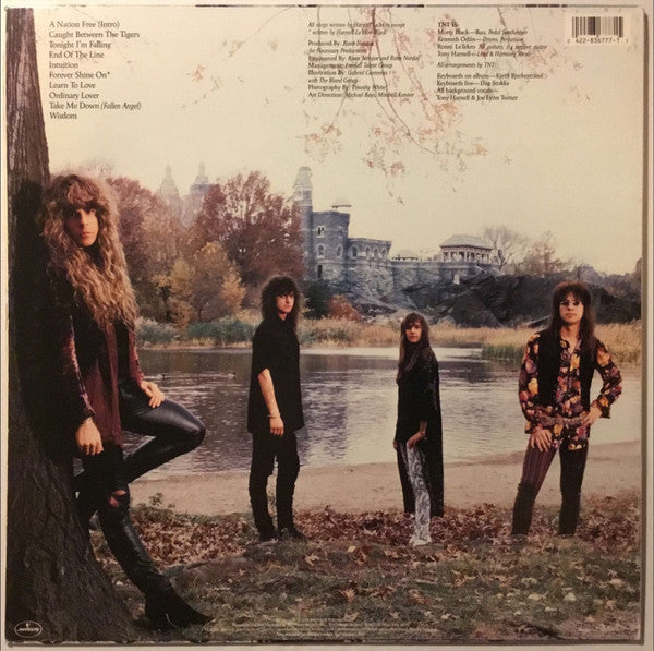 TNT (15) : Intuition (LP, Album)