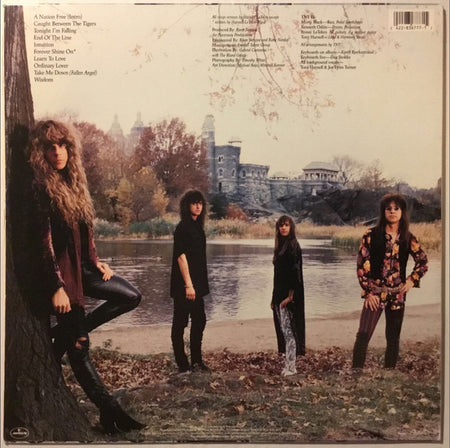 TNT (15) : Intuition (LP, Album)