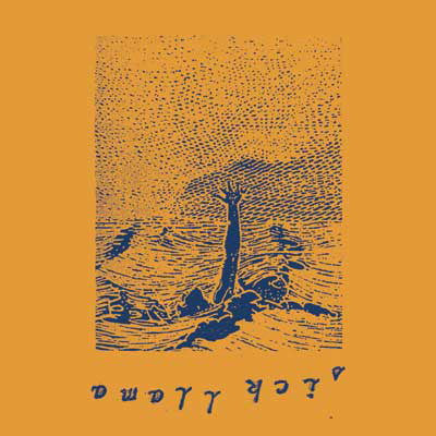 Sick Llama : Born Again To Die (LP, Ltd, RE)