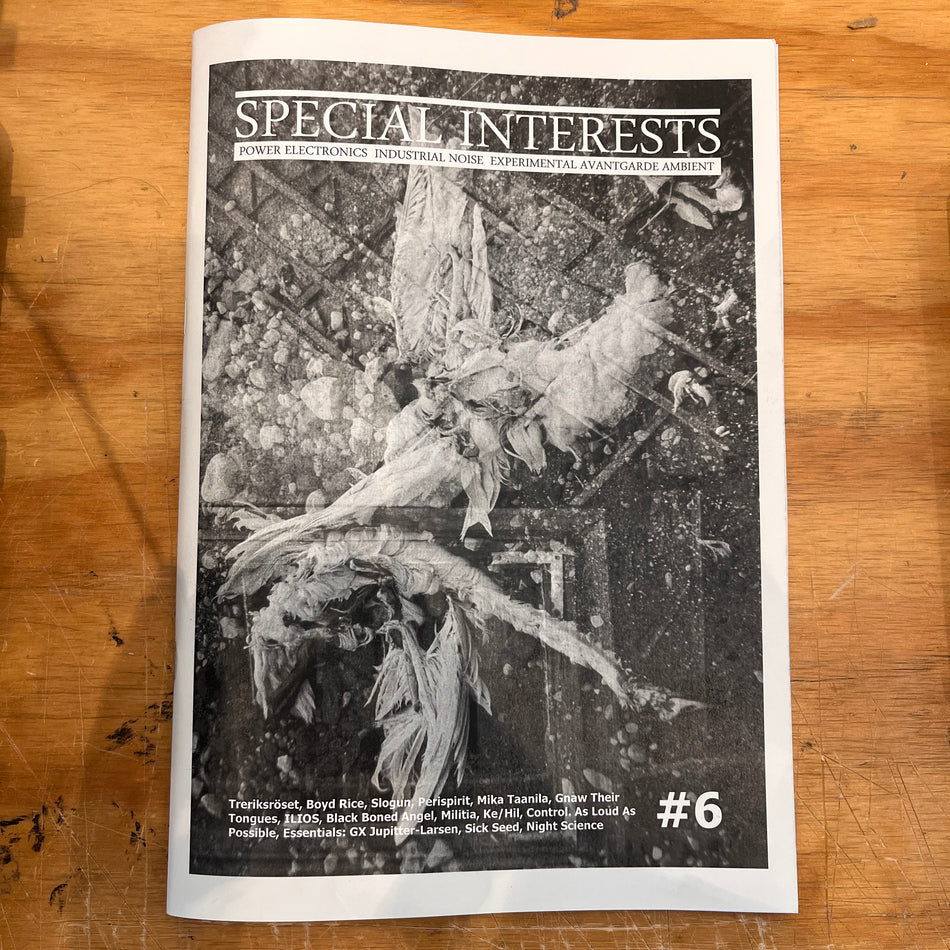 Special Interests #6 zine